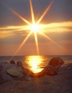 10376181_10200996023021886_1001073063902413014_n